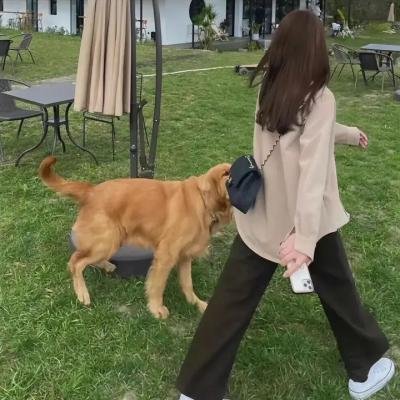 格里芬与菲尼克斯海报
