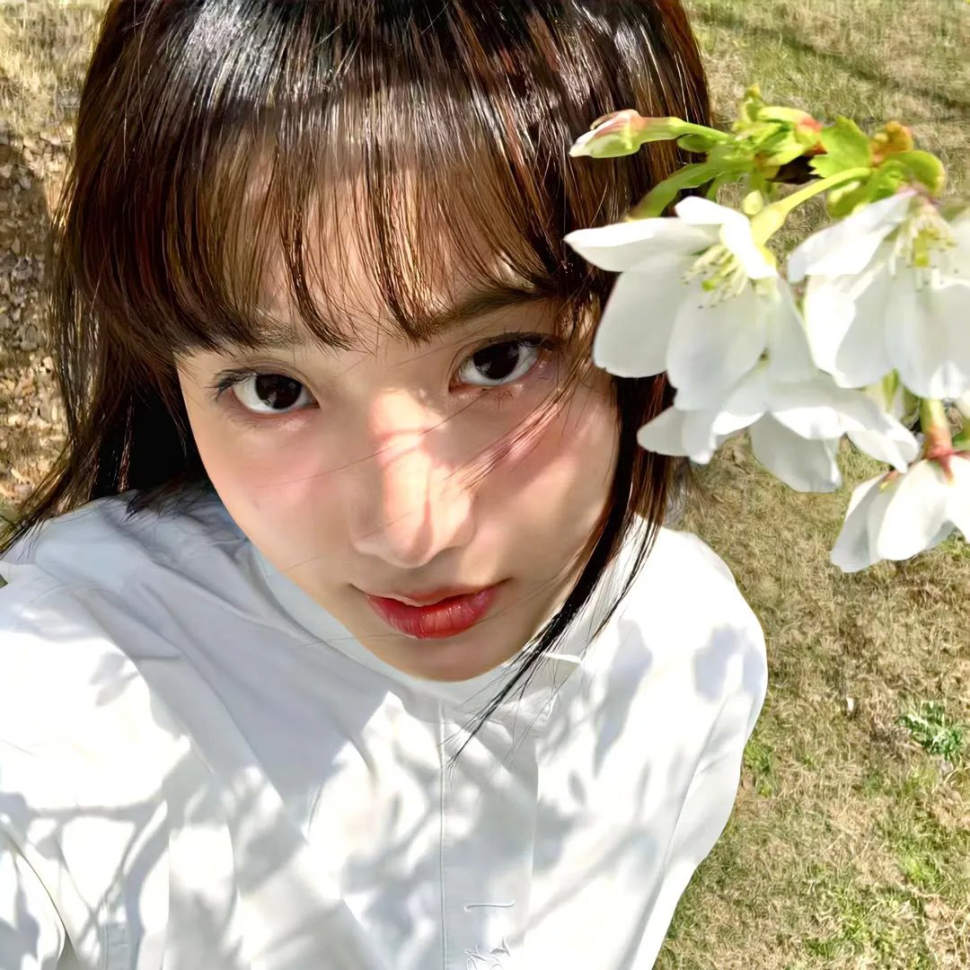 笑春风海报